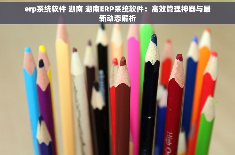 erp系统软件 湖南 湖南ERP系统软件:高效管理神器与最新动态解析 erp系统软件 湖南 湖南ERP系统软件:高效管理神器与最新动态解析