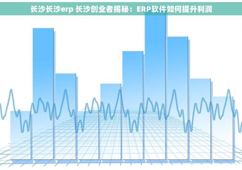 长沙长沙erp 长沙创业者揭秘:ERP软件如何提升利润 长沙长沙erp 长沙创业者揭秘:ERP软件如何提升利润