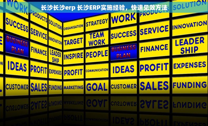长沙长沙erp 长沙ERP实施经验,快速见效方法 长沙长沙erp 长沙ERP实施经验,快速见效方法