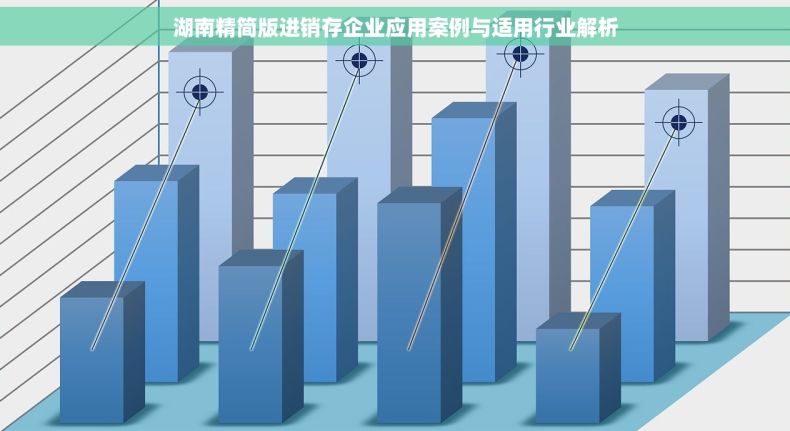 湖南精简版进销存企业应用案例与适用行业解析 湖南精简版进销存企业应用案例与适用行业解析
