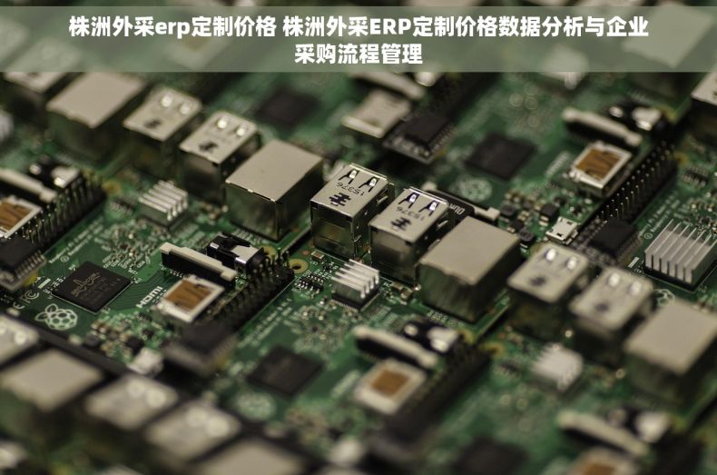 株洲外采erp定制价格 株洲外采ERP定制价格数据分析与企业采购流程管理 株洲外采erp定制价格 株洲外采ERP定制价格数据分析与企业采购流程管理