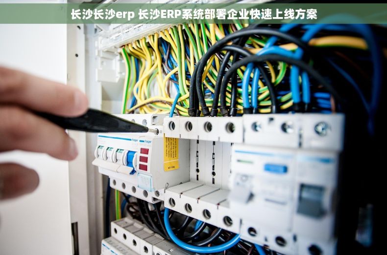 长沙长沙erp 长沙ERP系统部署企业快速上线方案 长沙长沙erp 长沙ERP系统部署企业快速上线方案