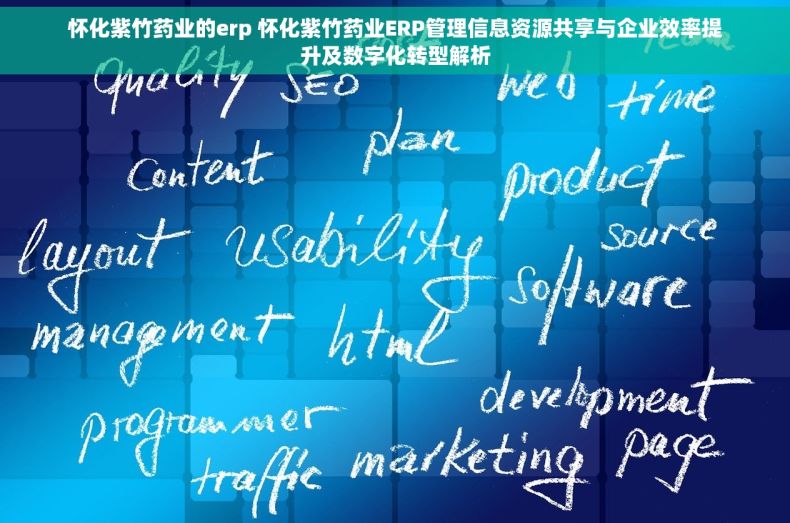 怀化紫竹药业的erp 怀化紫竹药业ERP管理信息资源共享与企业效率提升及数字化转型解析 怀化紫竹药业的erp 怀化紫竹药业ERP管理信息资源共享与企业效率提升及数字化转型解析