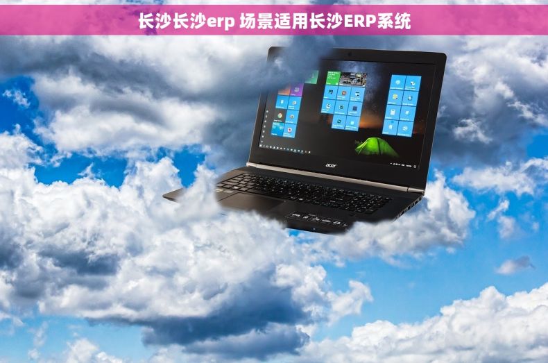 长沙长沙erp 场景适用长沙ERP系统 长沙长沙erp 场景适用长沙ERP系统