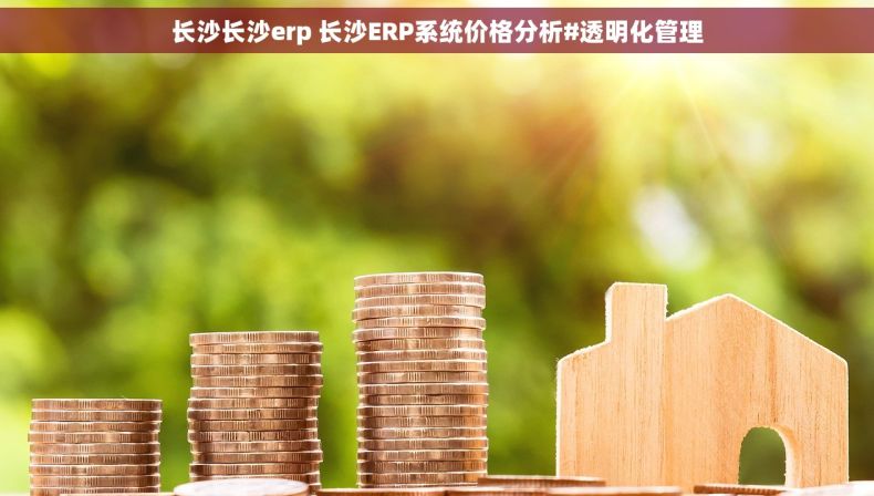 长沙长沙erp 长沙ERP系统价格分析#透明化管理 长沙长沙erp 长沙ERP系统价格分析#透明化管理
