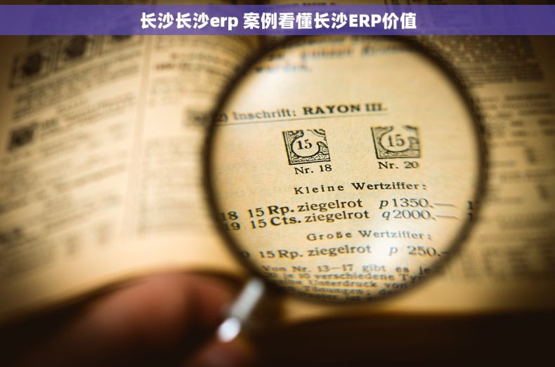 长沙长沙erp 案例看懂长沙ERP价值 长沙长沙erp 案例看懂长沙ERP价值