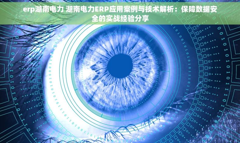 erp湖南电力 湖南电力ERP应用案例与技术解析:保障数据安全的实战经验分享 erp湖南电力 湖南电力ERP应用案例与技术解析:保障数据安全的实战经验分享