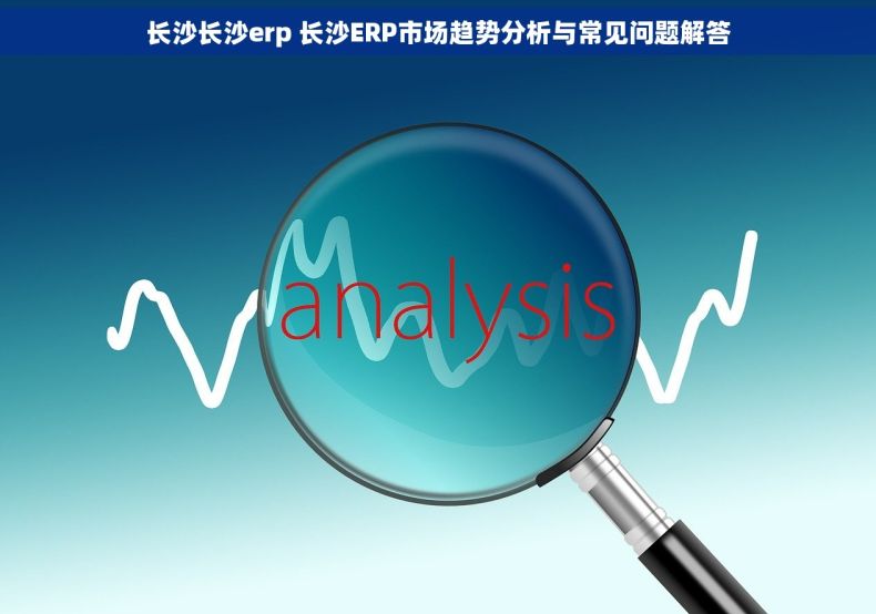 长沙长沙erp 长沙ERP市场趋势分析与常见问题解答 长沙长沙erp 长沙ERP市场趋势分析与常见问题解答