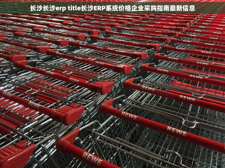 长沙长沙erp title长沙ERP系统价格企业采购指南最新信息 长沙长沙erp title长沙ERP系统价格企业采购指南最新信息