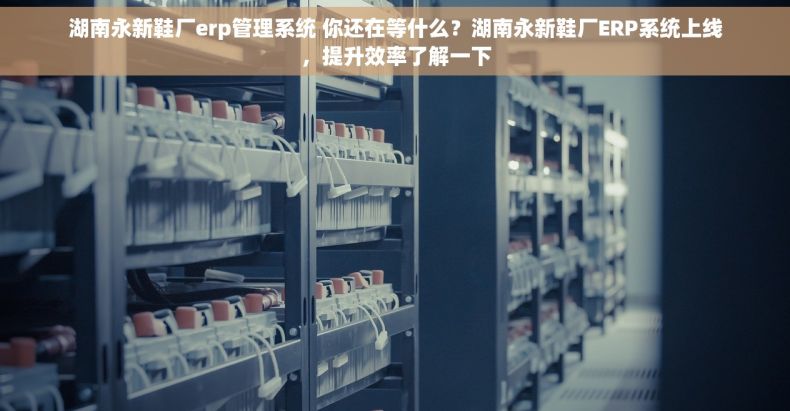 湖南永新鞋厂erp管理系统 你还在等什么?湖南永新鞋厂ERP系统上线,提升效率了解一下 湖南永新鞋厂erp管理系统 你还在等什么?湖南永新鞋厂ERP系统上线,提升效率了解一下