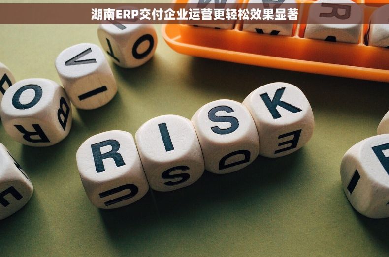 湖南ERP交付企业运营更轻松效果显著 湖南ERP交付企业运营更轻松效果显著