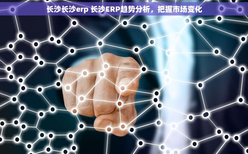 长沙长沙erp 长沙ERP趋势分析,把握市场变化 长沙长沙erp 长沙ERP趋势分析,把握市场变化