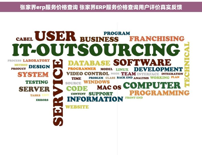 张家界erp服务价格查询 张家界ERP服务价格查询用户评价真实反馈 张家界erp服务价格查询 张家界ERP服务价格查询用户评价真实反馈