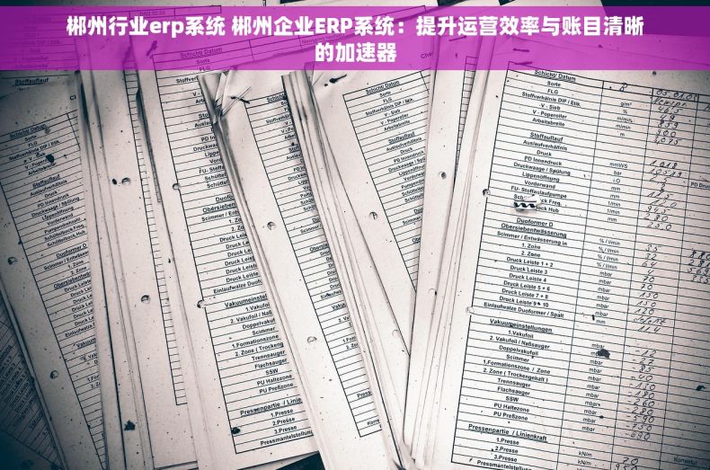 郴州行业erp系统 郴州企业ERP系统:提升运营效率与账目清晰的加速器 郴州行业erp系统 郴州企业ERP系统:提升运营效率与账目清晰的加速器