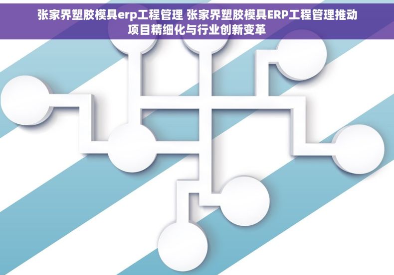 张家界塑胶模具erp工程管理 张家界塑胶模具ERP工程管理推动项目精细化与行业创新变革 张家界塑胶模具erp工程管理 张家界塑胶模具ERP工程管理推动项目精细化与行业创新变革