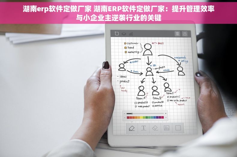 湖南erp软件定做厂家 湖南ERP软件定做厂家:提升管理效率与小企业主逆袭行业的关键 湖南erp软件定做厂家 湖南ERP软件定做厂家:提升管理效率与小企业主逆袭行业的关键