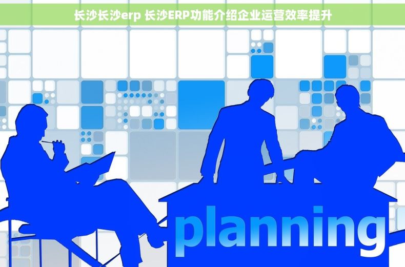 长沙长沙erp 长沙ERP功能介绍企业运营效率提升 长沙长沙erp 长沙ERP功能介绍企业运营效率提升