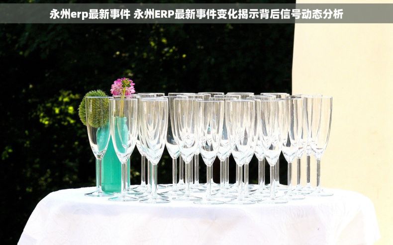 永州erp最新事件 永州ERP最新事件变化揭示背后信号动态分析