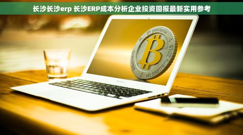 长沙长沙erp 长沙ERP成本分析企业投资回报最新实用参考 长沙长沙erp 长沙ERP成本分析企业投资回报最新实用参考
