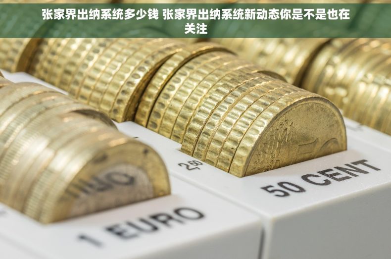 张家界出纳系统多少钱 张家界出纳系统新动态你是不是也在关注 张家界出纳系统多少钱 张家界出纳系统新动态你是不是也在关注