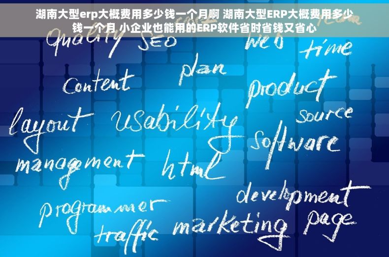 湖南大型erp大概费用多少钱一个月啊 湖南大型ERP大概费用多少钱一个月 小企业也能用的ERP软件省时省钱又省心 湖南大型erp大概费用多少钱一个月啊 湖南大型ERP大概费用多少钱一个月 小企业也能用的ERP软件省时省钱又省心