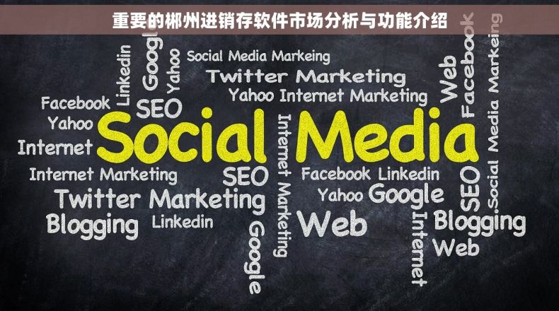 重要的郴州进销存软件市场分析与功能介绍 重要的郴州进销存软件市场分析与功能介绍