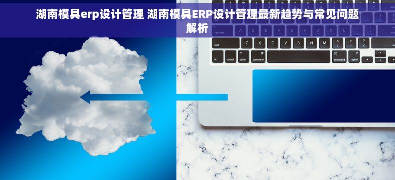 湖南模具erp设计管理 湖南模具ERP设计管理最新趋势与常见问题解析 湖南模具erp设计管理 湖南模具ERP设计管理最新趋势与常见问题解析