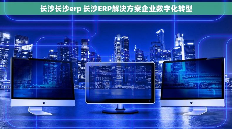 长沙长沙erp 长沙ERP解决方案企业数字化转型 长沙长沙erp 长沙ERP解决方案企业数字化转型