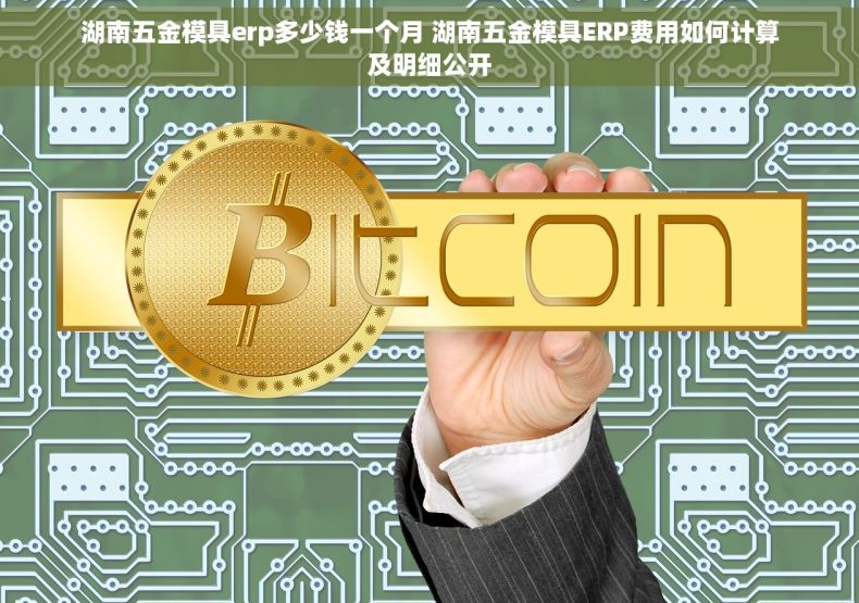 湖南五金模具erp多少钱一个月 湖南五金模具ERP费用如何计算及明细公开