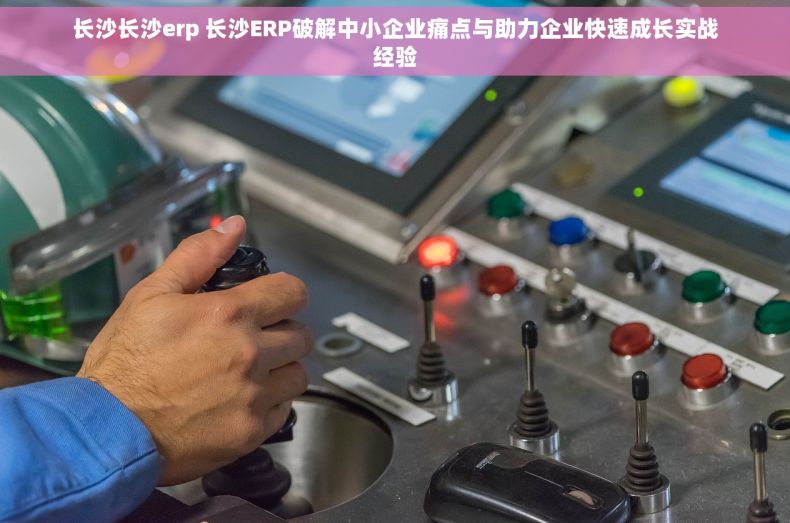 长沙长沙erp 长沙ERP破解中小企业痛点与助力企业快速成长实战经验 长沙长沙erp 长沙ERP破解中小企业痛点与助力企业快速成长实战经验
