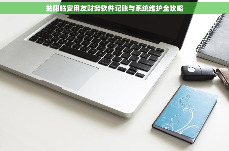 益阳临安用友财务软件记账与系统维护全攻略 益阳临安用友财务软件记账与系统维护全攻略