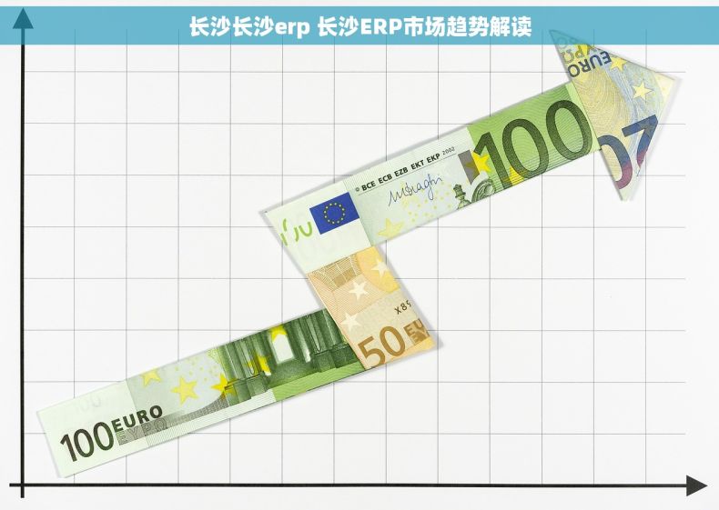 长沙长沙erp 长沙ERP市场趋势解读 长沙长沙erp 长沙ERP市场趋势解读