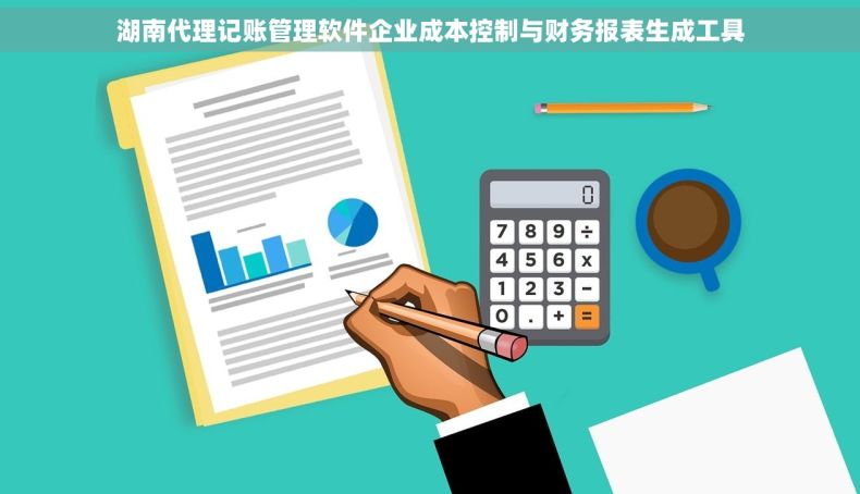 湖南代理记账管理软件企业成本控制与财务报表生成工具 湖南代理记账管理软件企业成本控制与财务报表生成工具