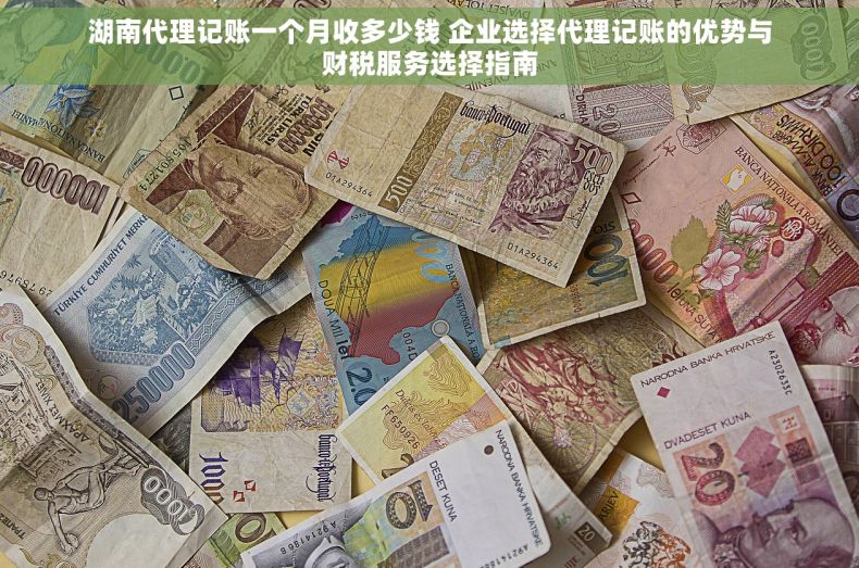 湖南代理记账一个月收多少钱 企业选择代理记账的优势与财税服务选择指南 湖南代理记账一个月收多少钱 企业选择代理记账的优势与财税服务选择指南