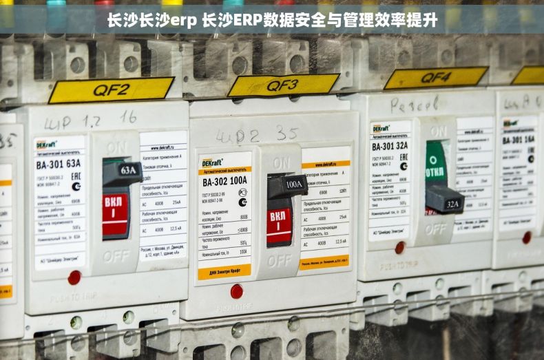 长沙长沙erp 长沙ERP数据安全与管理效率提升 长沙长沙erp 长沙ERP数据安全与管理效率提升