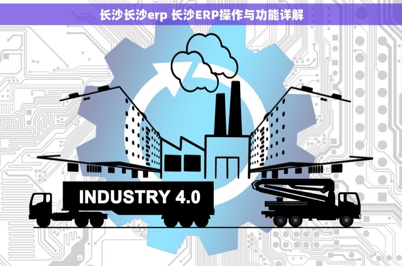 长沙长沙erp 长沙ERP操作与功能详解 长沙长沙erp 长沙ERP操作与功能详解
