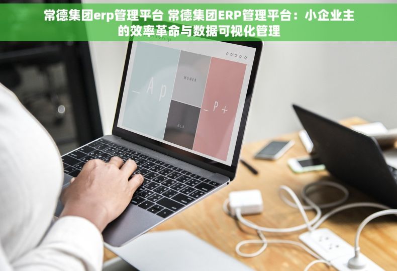 常德集团erp管理平台 常德集团ERP管理平台：小企业主的效率革命与数据可视化管理