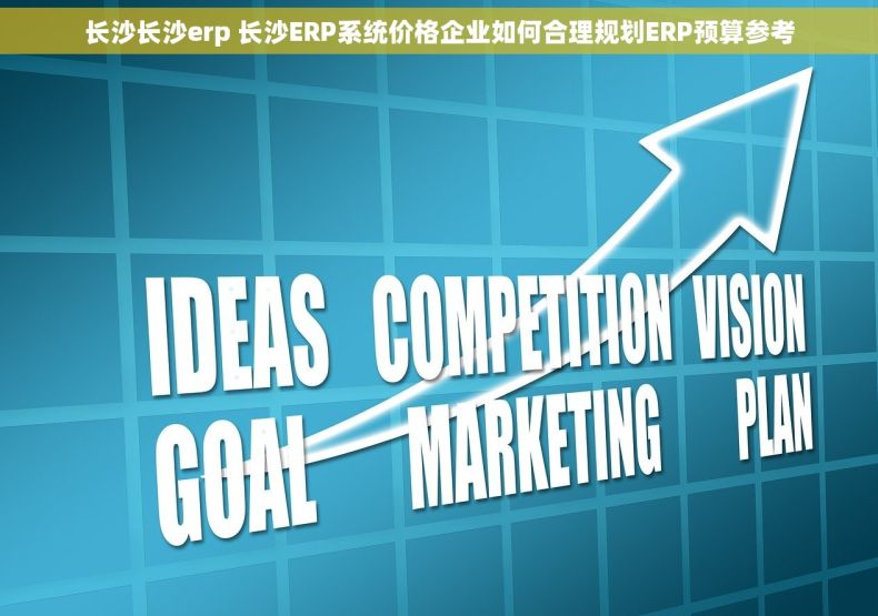 长沙长沙erp 长沙ERP系统价格企业如何合理规划ERP预算参考 长沙长沙erp 长沙ERP系统价格企业如何合理规划ERP预算参考