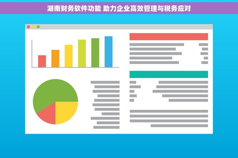 湖南财务软件功能 助力企业高效管理与税务应对 湖南财务软件功能 助力企业高效管理与税务应对