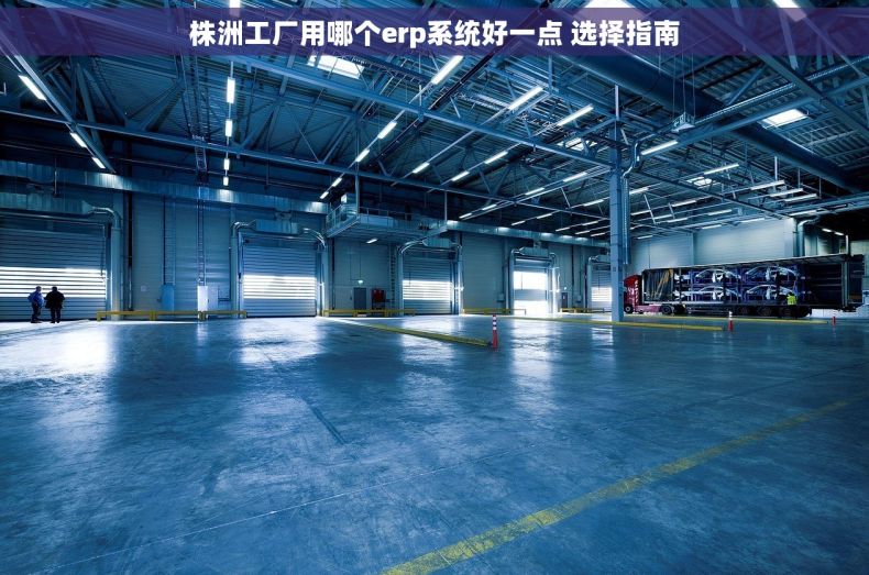 株洲工厂用哪个erp系统好一点 选择指南 株洲工厂用哪个erp系统好一点 选择指南