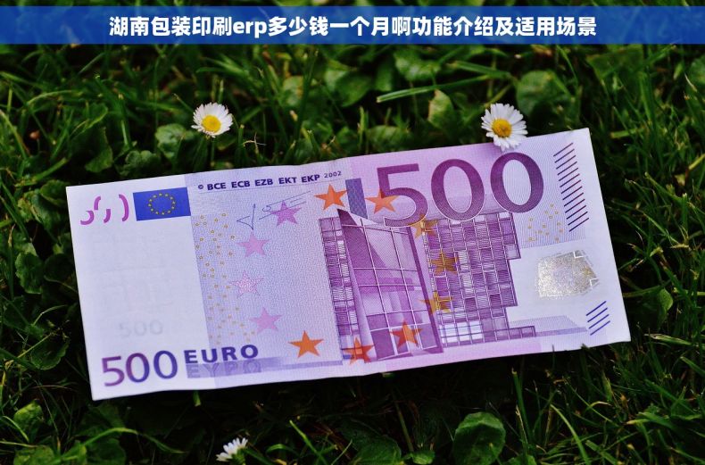 湖南包装印刷erp多少钱一个月啊功能介绍及适用场景 湖南包装印刷erp多少钱一个月啊功能介绍及适用场景