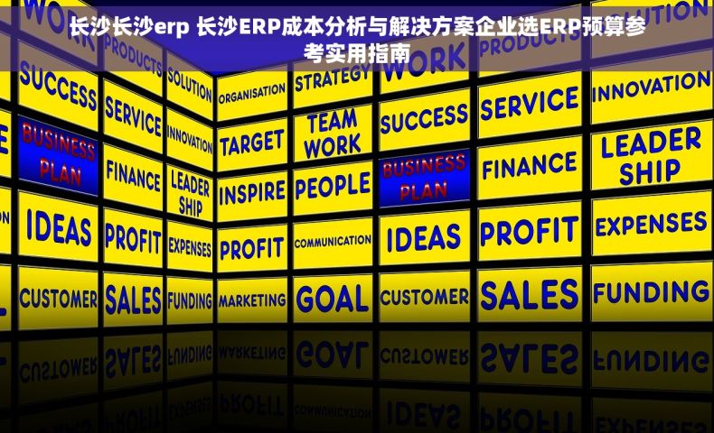 长沙长沙erp 长沙ERP成本分析与解决方案企业选ERP预算参考实用指南 长沙长沙erp 长沙ERP成本分析与解决方案企业选ERP预算参考实用指南