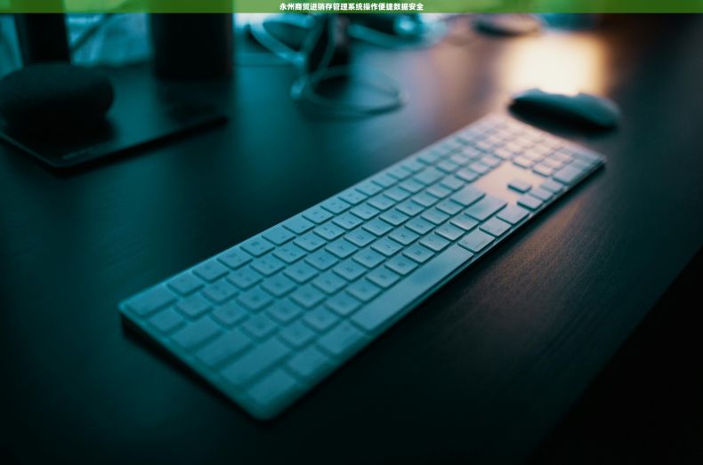 永州商贸进销存管理系统操作便捷数据安全 永州商贸进销存管理系统操作便捷数据安全