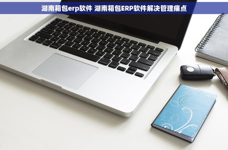 湖南箱包erp软件 湖南箱包ERP软件解决管理痛点 湖南箱包erp软件 湖南箱包ERP软件解决管理痛点