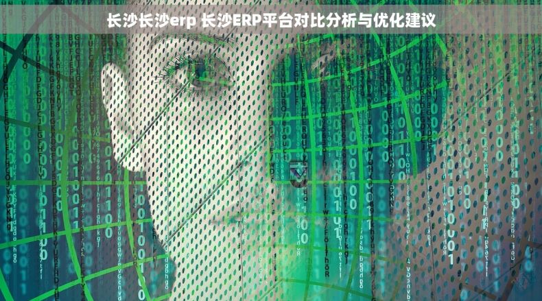 长沙长沙erp 长沙ERP平台对比分析与优化建议 长沙长沙erp 长沙ERP平台对比分析与优化建议