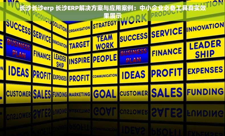 长沙长沙erp 长沙ERP解决方案与应用案例:中小企业必备工具真实效果展示 长沙长沙erp 长沙ERP解决方案与应用案例:中小企业必备工具真实效果展示