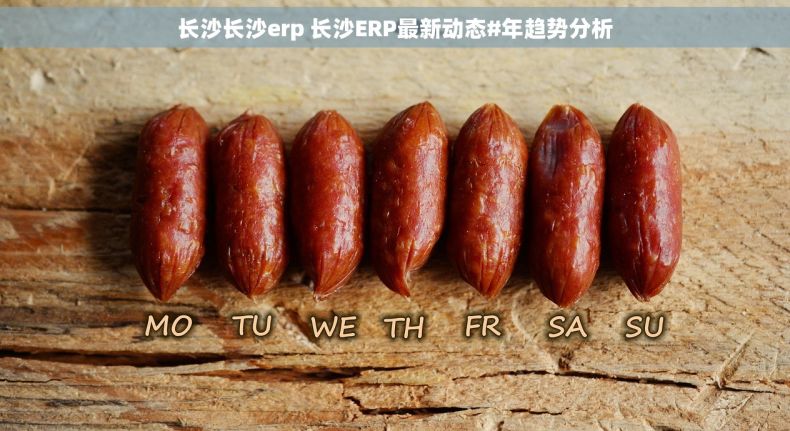 长沙长沙erp 长沙ERP最新动态#年趋势分析 长沙长沙erp 长沙ERP最新动态#年趋势分析