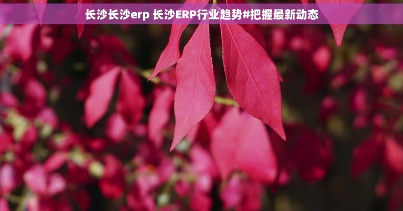 长沙长沙erp 长沙ERP行业趋势#把握最新动态 长沙长沙erp 长沙ERP行业趋势#把握最新动态