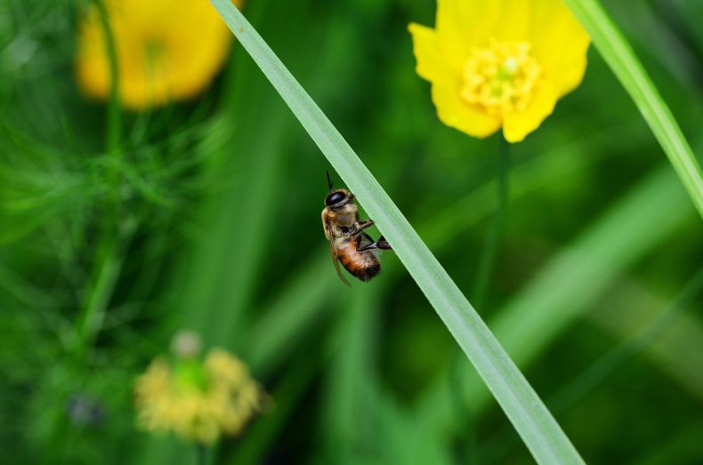长沙长沙erp 长沙ERP行业趋势#把握最新动态 长沙长沙erp 长沙ERP行业趋势#把握最新动态