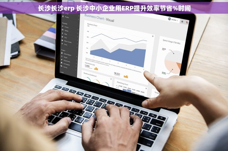 长沙长沙erp 长沙中小企业用ERP提升效率节省%时间 长沙长沙erp 长沙中小企业用ERP提升效率节省%时间